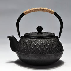 Japanese Cast Iron Teapot with Tea Strainer