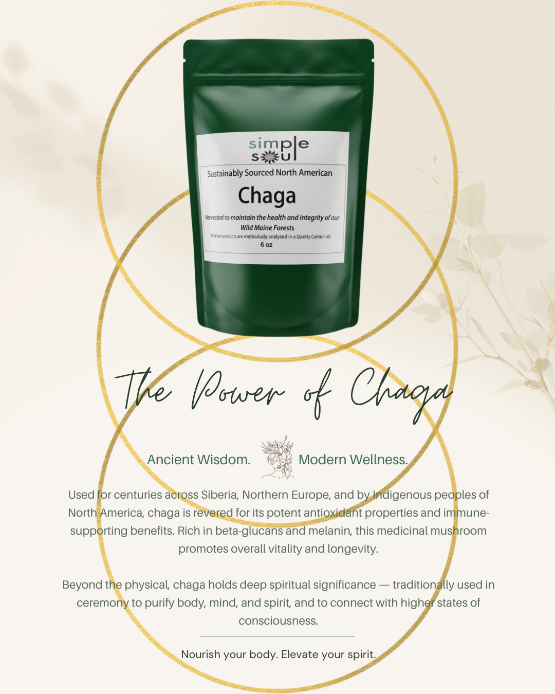 Chaga Mushroom Tea