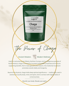 Chaga Mushroom Tea