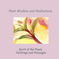 Plant Spirit Wisdom Book