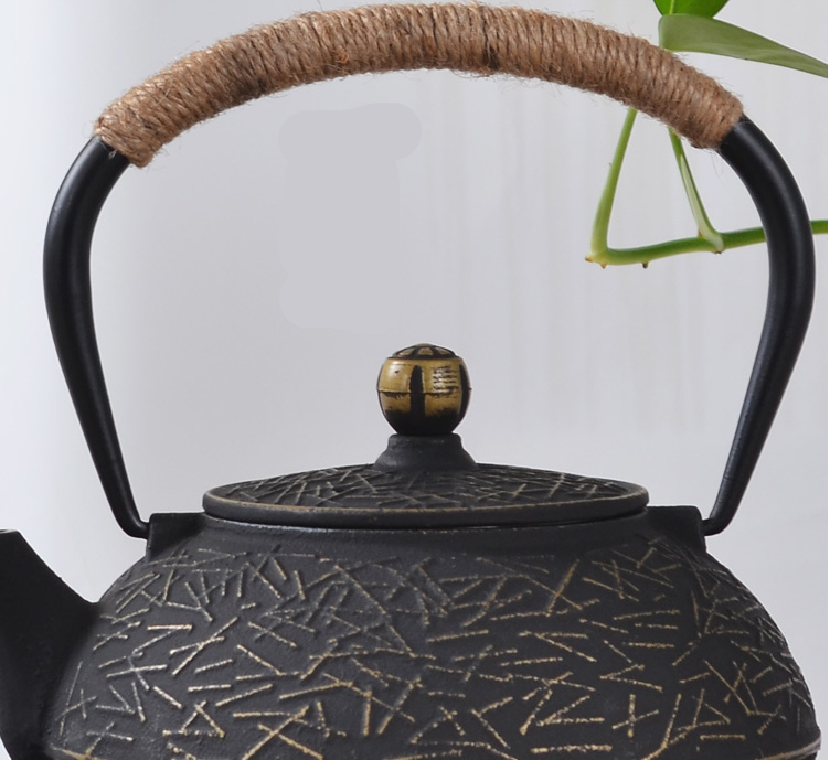 Japanese Cast Iron Teapot with Tea Strainer